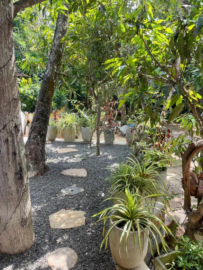 מלון דיקוולה Jungle Escape Hiriketiya מראה חיצוני תמונה